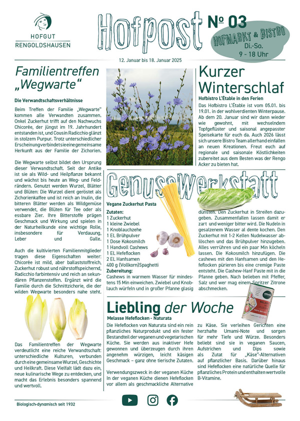 KI generiert: Ein Newsletter mit Themen zu Pflanzen, Rezepten und Hofmarkt-Öffnungszeiten. Enthält Text über Wegwarten.