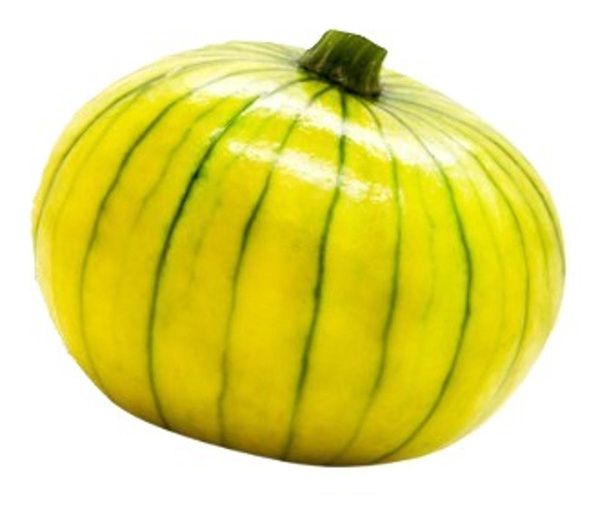 Produktfoto zu Zucchiolo - Kreuzung von Gurke und Zucchini