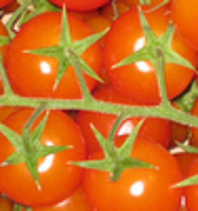 Produktfoto zu Cocktail-Strauchtomaten
