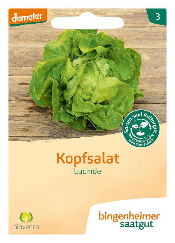 Produktfoto zu Saatgut Kopfsalat Lucinde bioverita