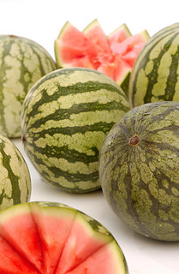 Produktfoto zu Wassermelone kernarm