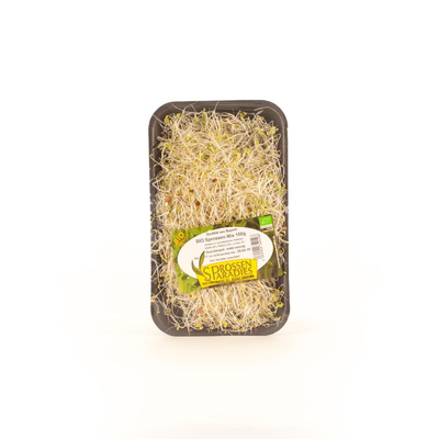 Produktfoto zu Sprossenmix