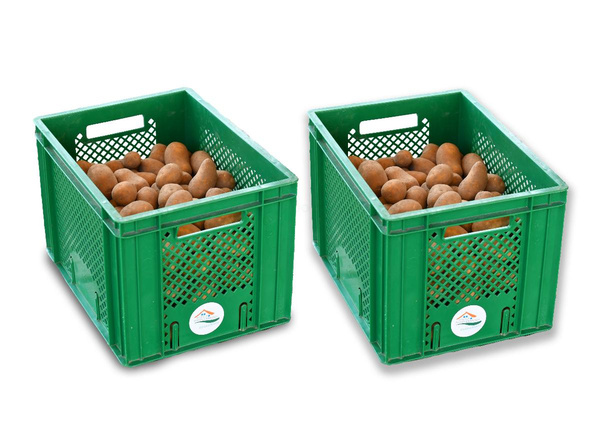 Produktfoto zu Kartoffel fest Aktion 2 x 12,5 Kg