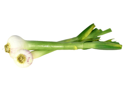 Produktfoto zu Stangenknoblauch frisch