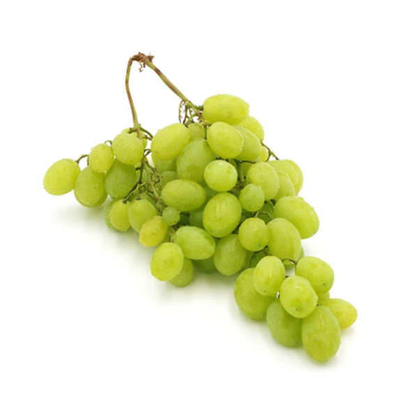 Produktfoto zu Trauben weiß Sorte Muskat aus Deutschland