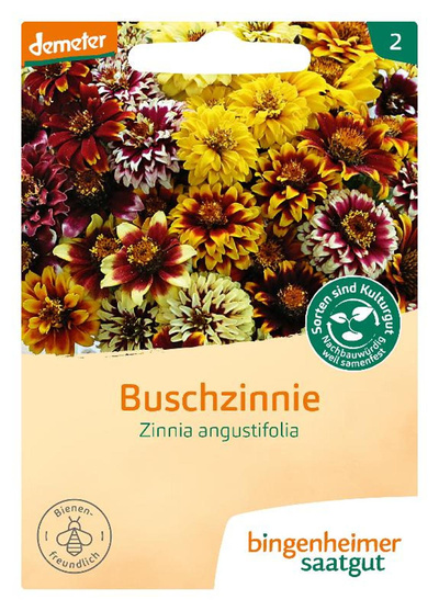 Produktfoto zu Buschzinnie