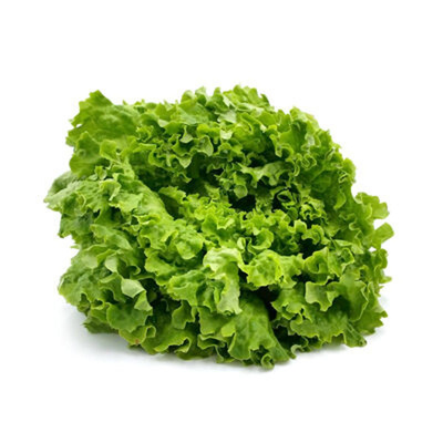 Produktfoto zu Batavia grün