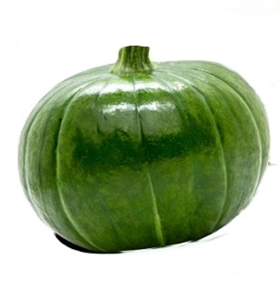 Produktfoto zu Zucchiolo