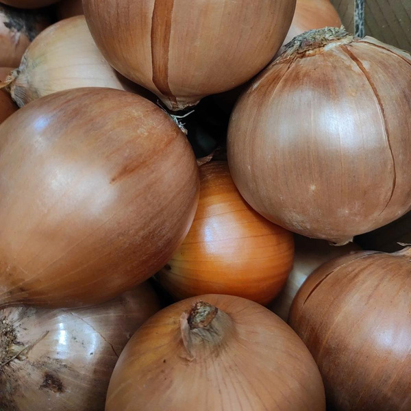 Produktfoto zu Gemüsezwiebel