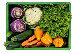 Produktfoto zu Rohkostkiste ohne Salat