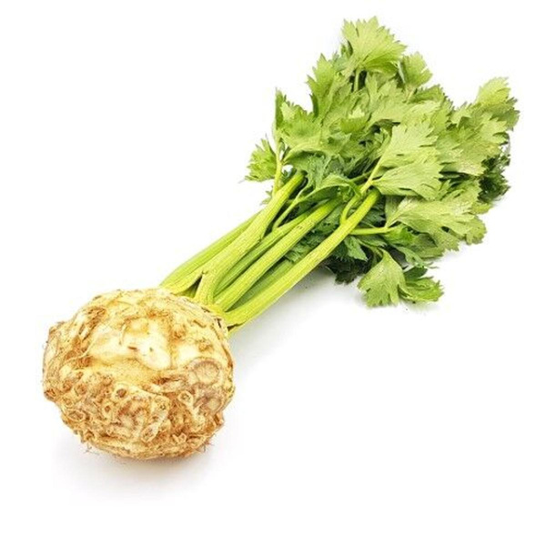Produktfoto zu Sellerie mit Grün