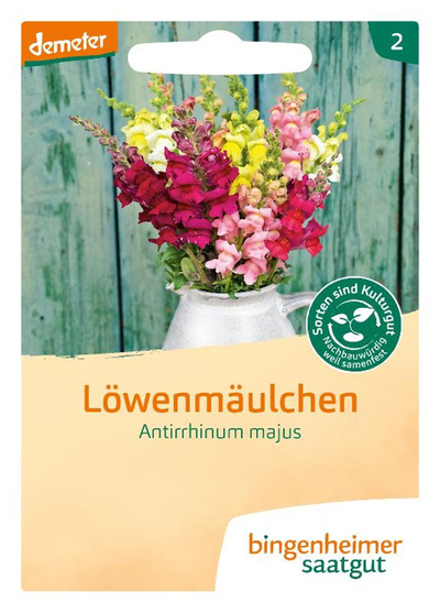 Produktfoto zu Löwenmäulchen