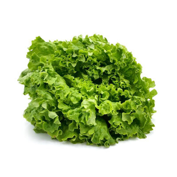 Produktfoto zu Batavia grün