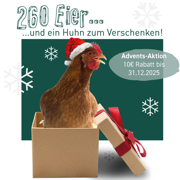 KI generiert: Ein Huhn mit Weihnachtsmütze in einem Geschenk. Text: "260 Eier... ...und ein Huhn zum Verschenken! Advents-Aktion 10€ Rabatt bis 31.12.2025".