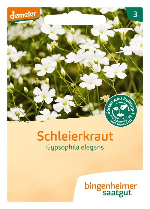 Produktfoto zu Schleierkraut