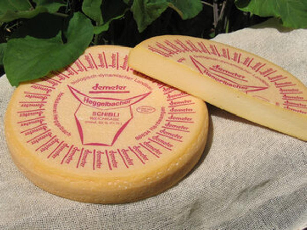 Produktfoto zu Schiblikäse natur von Heggelbach