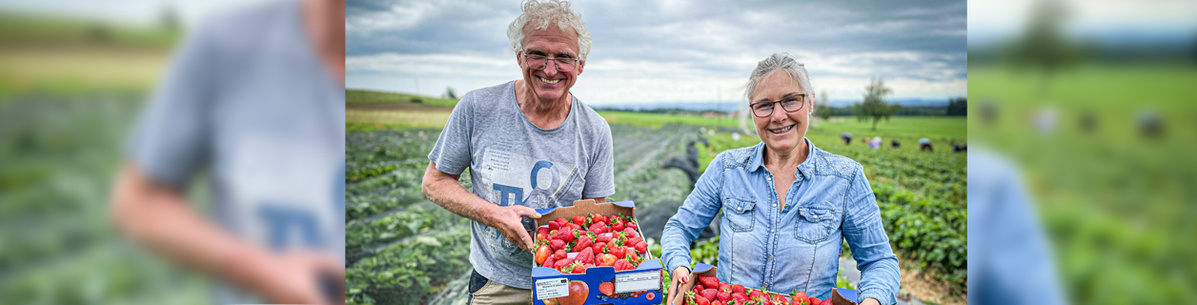 KI generiert: Zwei Personen halten Kisten mit frischen Erdbeeren auf einem Feld in die Kamera.