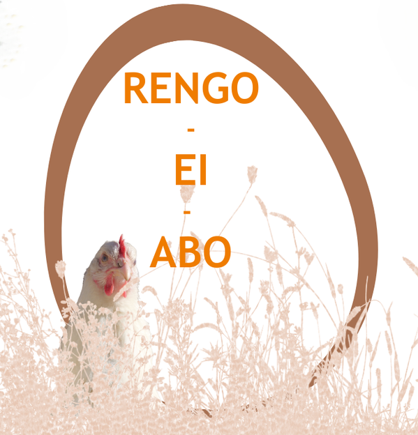 KI generiert: Ein Huhn im Gras mit dem Text: "RENGO - EI - ABO".