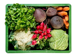 Produktfoto zu Regional mittel mit 2 Salate