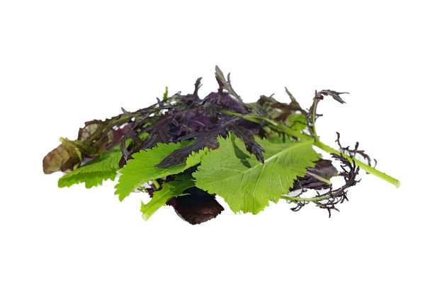 Produktfoto zu Asia Salat und Baby Leaf Mischung