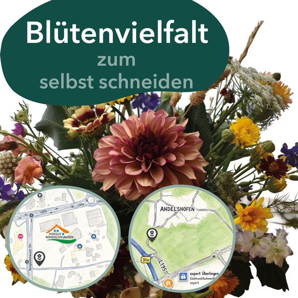 KI generiert: Strauß bunter Blumen, Text: "Blütenvielfalt zum selbst schneiden" mit zwei Kartenausschnitten.