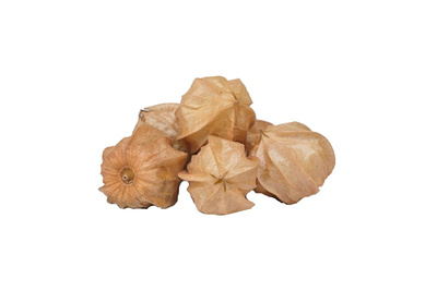 Produktfoto zu Physalis vom Rengo