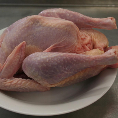 Produktfoto zu Suppenhuhn von Rengo