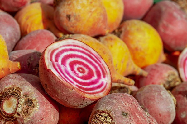 Produktfoto zu Bunte Bete