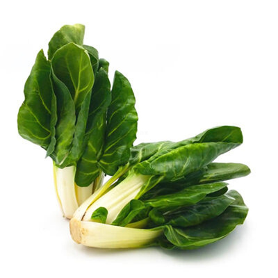 Produktfoto zu Stielmangold weiß