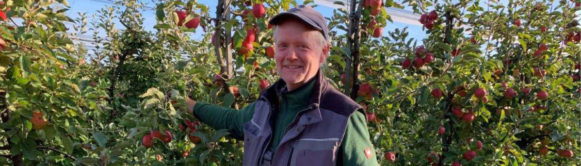 KI generiert: Ein Mann steht in einem Apfelgarten und lächelt in die Kamera.