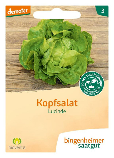 Produktfoto zu Kopfsalat Lucinde bioverita