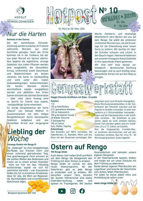 KI generiert: Ein Newsletter über nachhaltige Landwirtschaft und Rezepte. Enthält Artikel zu Chicorée-Züchtung und Rezeptideen.