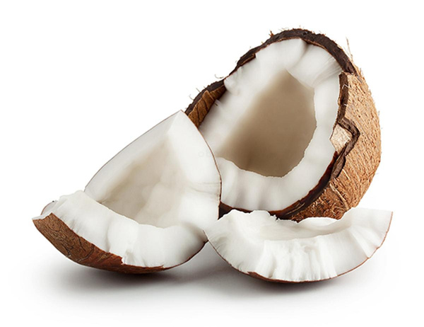 Produktfoto zu Kokosnuss