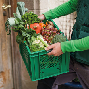 KI generiert: Kiste mit frischem Gemüse und Obst, die von einer Person getragen wird.