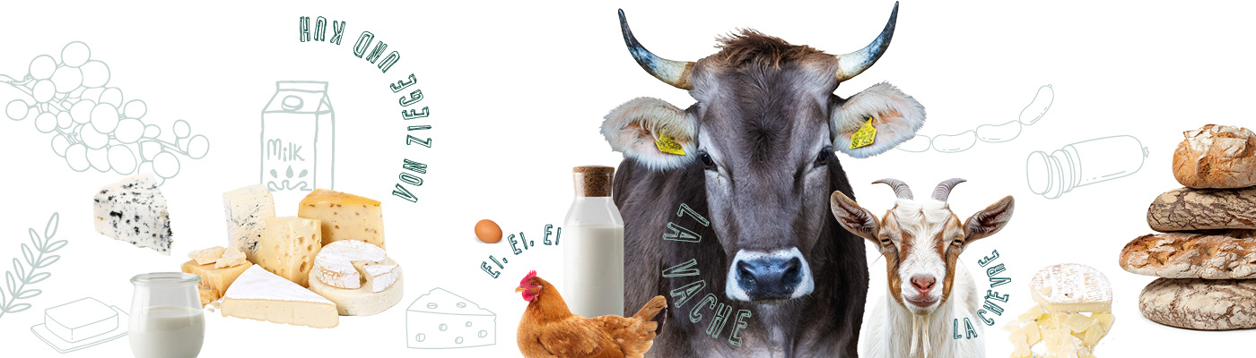 KI generiert: Das Bild zeigt eine Kuh und eine Ziege im Zentrum, umgeben von Käsesorten, Milchprodukten, einem Huhn, Eiern und Brot, was auf die Vielfalt von landwirtschaftlichen Erzeugnissen hinweist. Es vermittelt einen Eindruck von frischen und natürlichen Lebensmitteln.