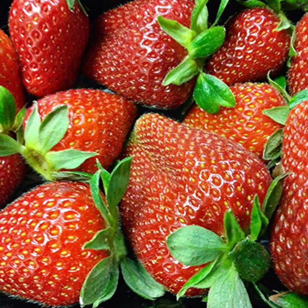 Produktfoto zu Erdbeeren 500g