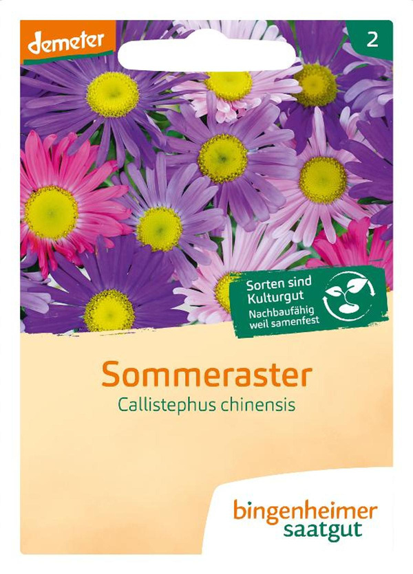 Produktfoto zu Sommeraster