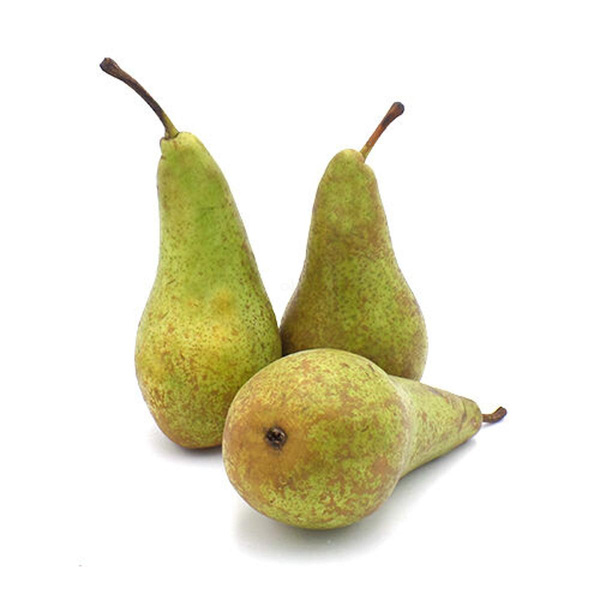 Produktfoto zu Birnen Sorte "Novembra"