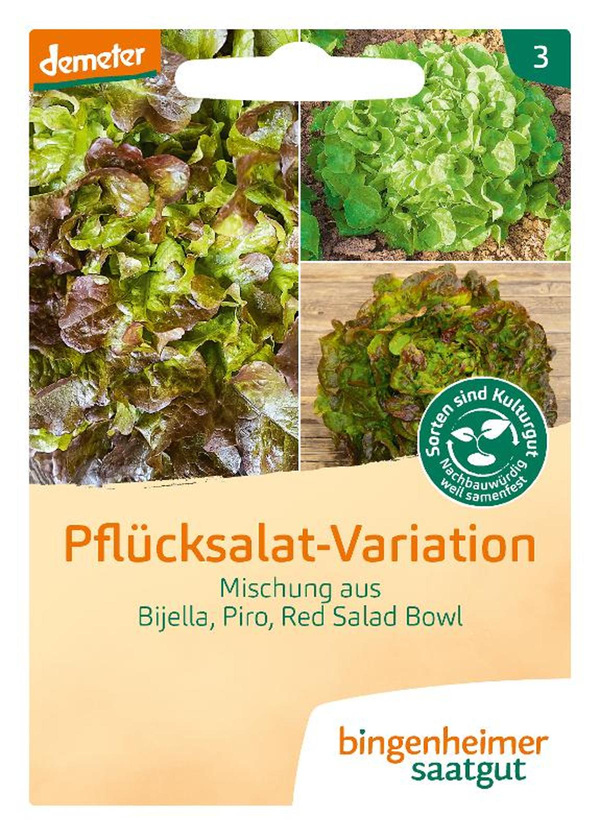 Produktfoto zu Pflücksalat-Variation