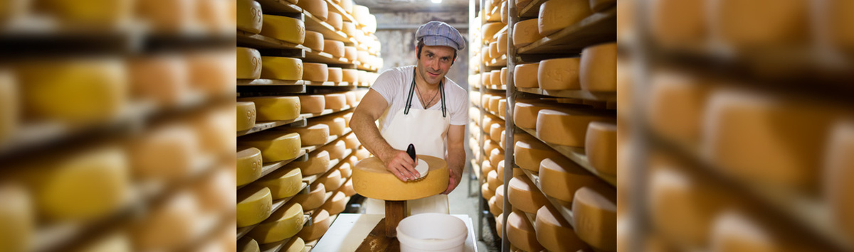 KI generiert: Ein Mann arbeitet in einem Käselager, umgeben von Regalen voller Käselaibe.