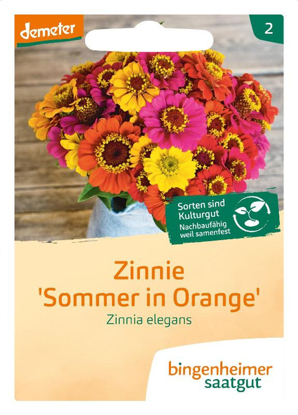 Produktfoto zu Zinnie `Sommer in Orange`