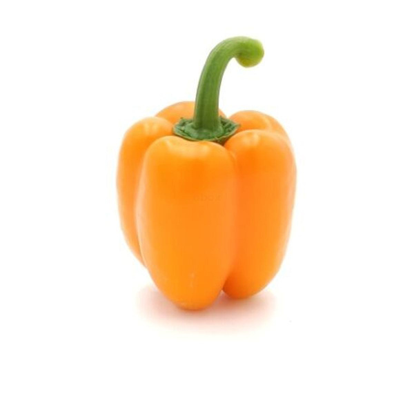 Produktfoto zu Paprika orange
