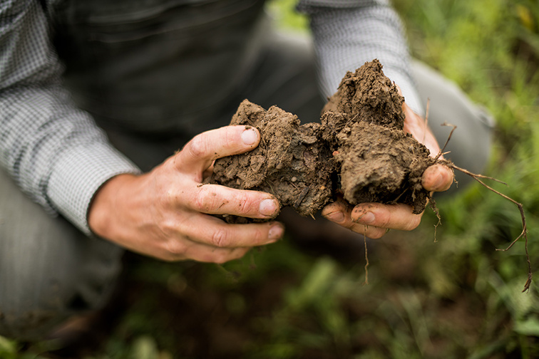 KI generiert: Person hält Erde in den Händen, kniet im Freien.