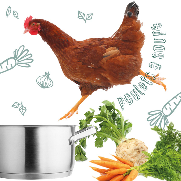 KI generiert: Ein Huhn über einem Topf mit Gemüse. Text: "poulets à soupe".