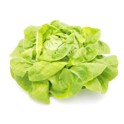 Produktfoto zu Kopfsalat grün
