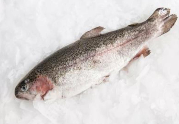 Produktfoto zu Forelle frisch