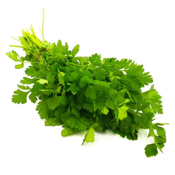 Produktfoto zu Thymian im Topf