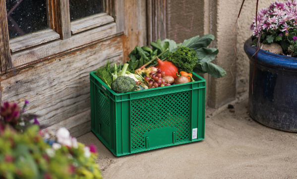 KI generiert: Grüne Kiste voller Gemüse und Obst steht vor einer Holztür.