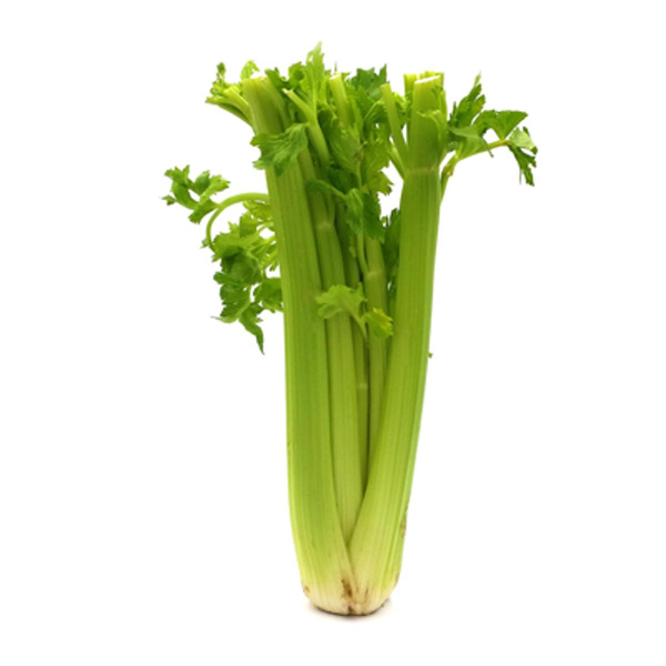 Produktfoto zu Stangensellerie gestutzt