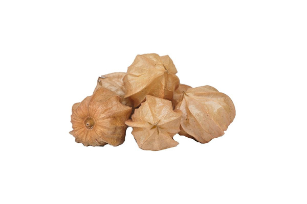 Produktfoto zu Physalis vom Rengo